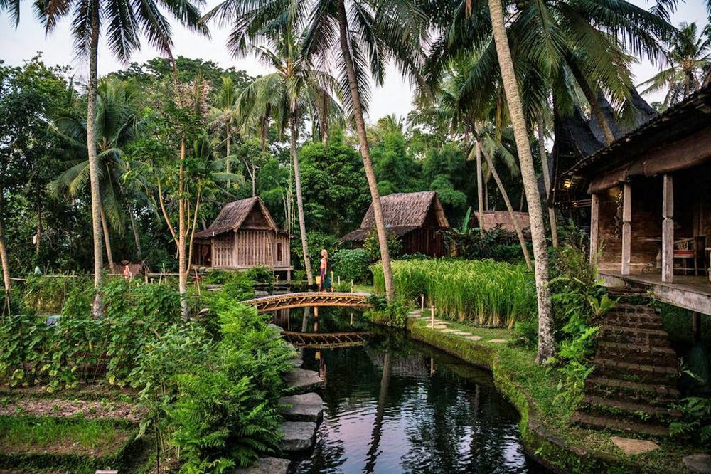 Bambu Ibuku