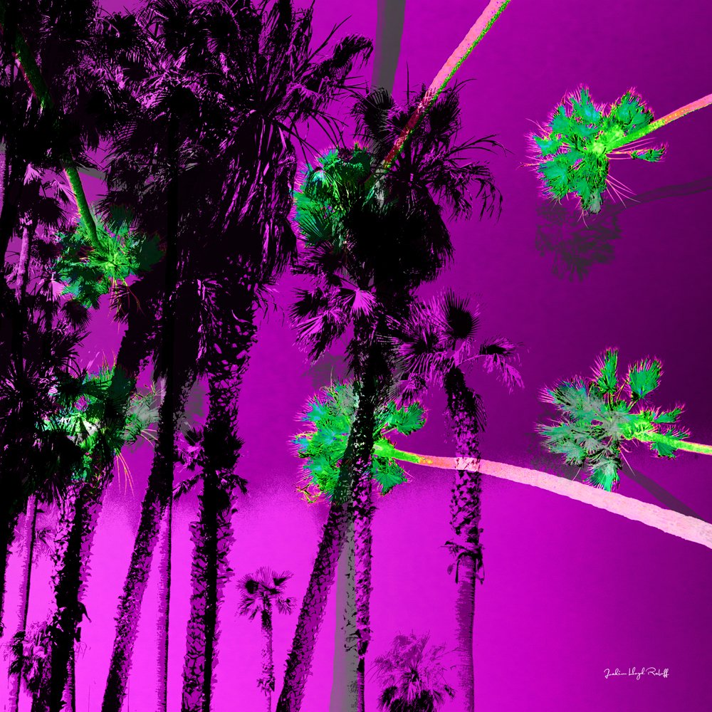 Santa Monica Palmtrees