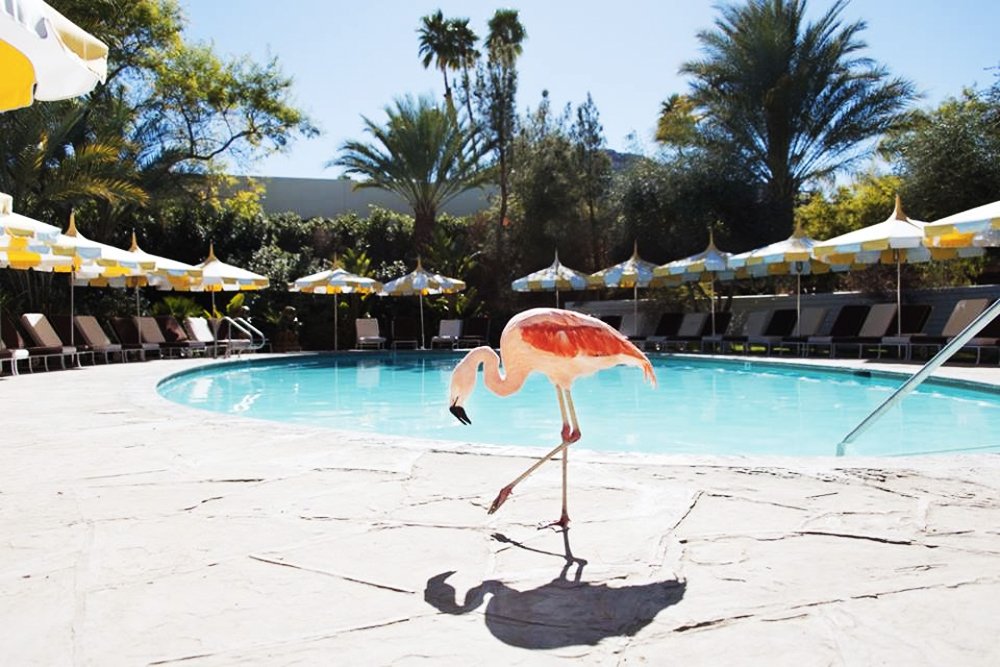 Parker Palm Springs
