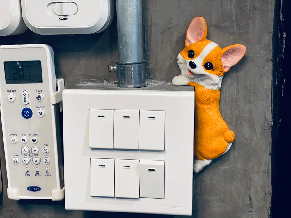 Corgi