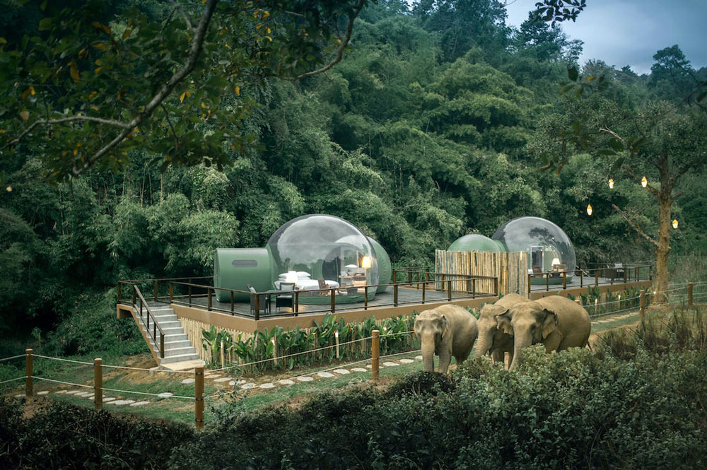 Jungle Bubbles och elefanter i norra Thailand