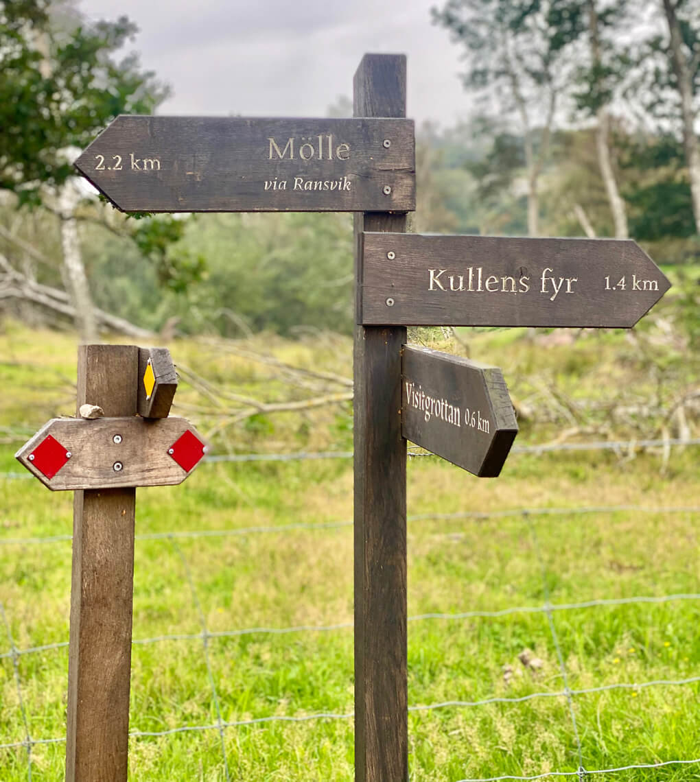 Från Mölle Hamn till Kullens Fyr: En Naturskön Vandring